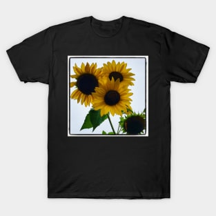 Sunflowers T-Shirt